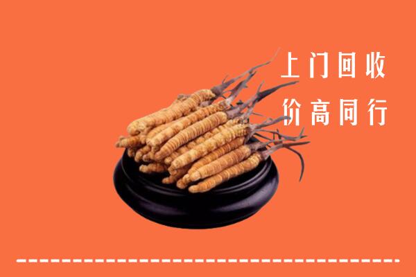高价求购：道滘镇回收散虫草