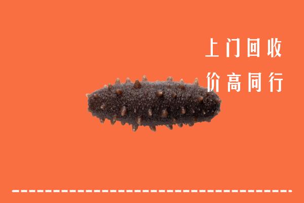 高价求购：道滘镇回收海参