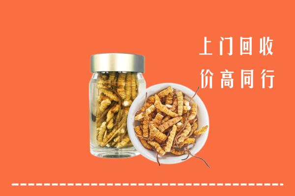道滘镇回收冬虫夏草