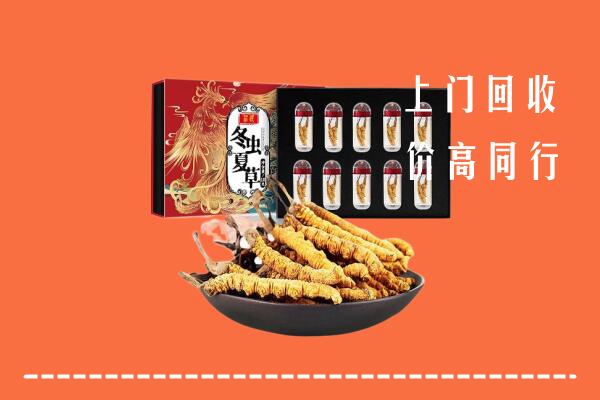 道滘镇回收虫草